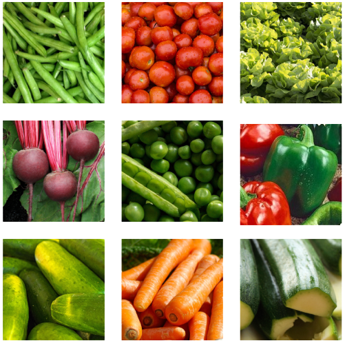 Vegetable Pictures
